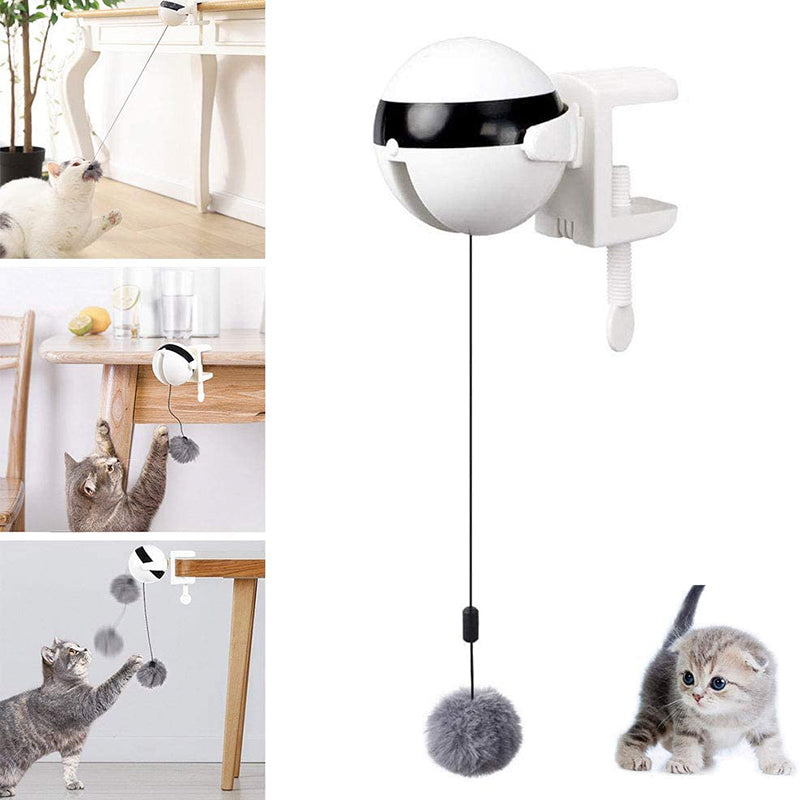 Balle interactive automatique pour chat Novoara