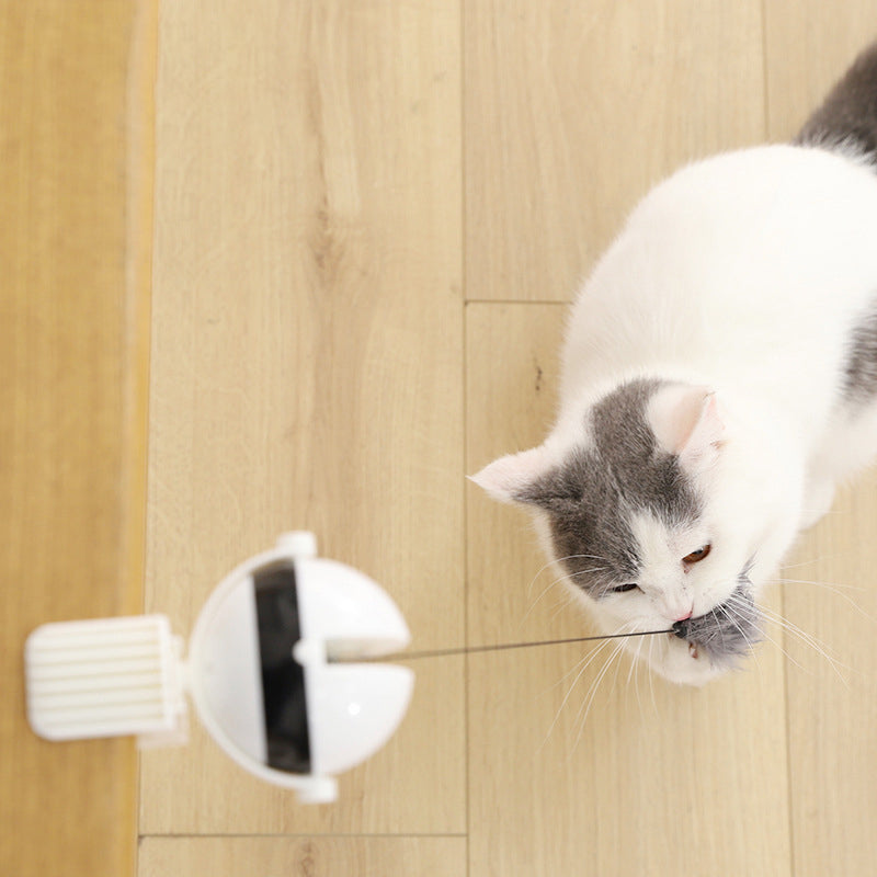 Balle interactive pour chat – détail