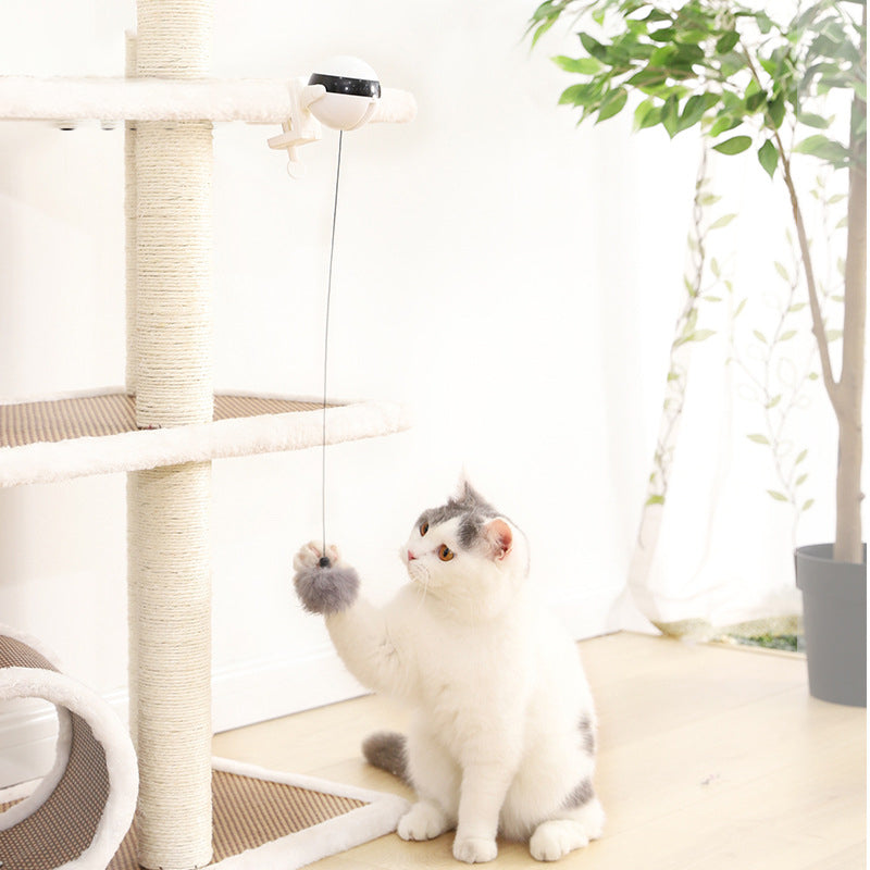 Balle interactive automatique pour chat – vue complémentaire